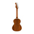 Fender Montecito Tenor Acoustic-Electric Ukulele w/Bag, Walnut FB, Shaded Edge Burst |  FENDER |  UKULELE |  Zoso Music