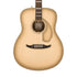 Fender Limited Edition California Vintage Palomino Acoustic Guitar w/Case, Antigua | Zoso Music Sdn Bhd