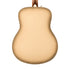 Fender Limited Edition California Vintage Palomino Acoustic Guitar w/Case, Antigua |  FENDER |  ACOUSTIC GUITAR |  Zoso Music