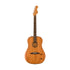 Fender Highway Series Dreadnought Acoustic Guitar w/Bag, RW FB, Mahogany |  FENDER |  ACOUSTIC GUITAR |  Zoso Music