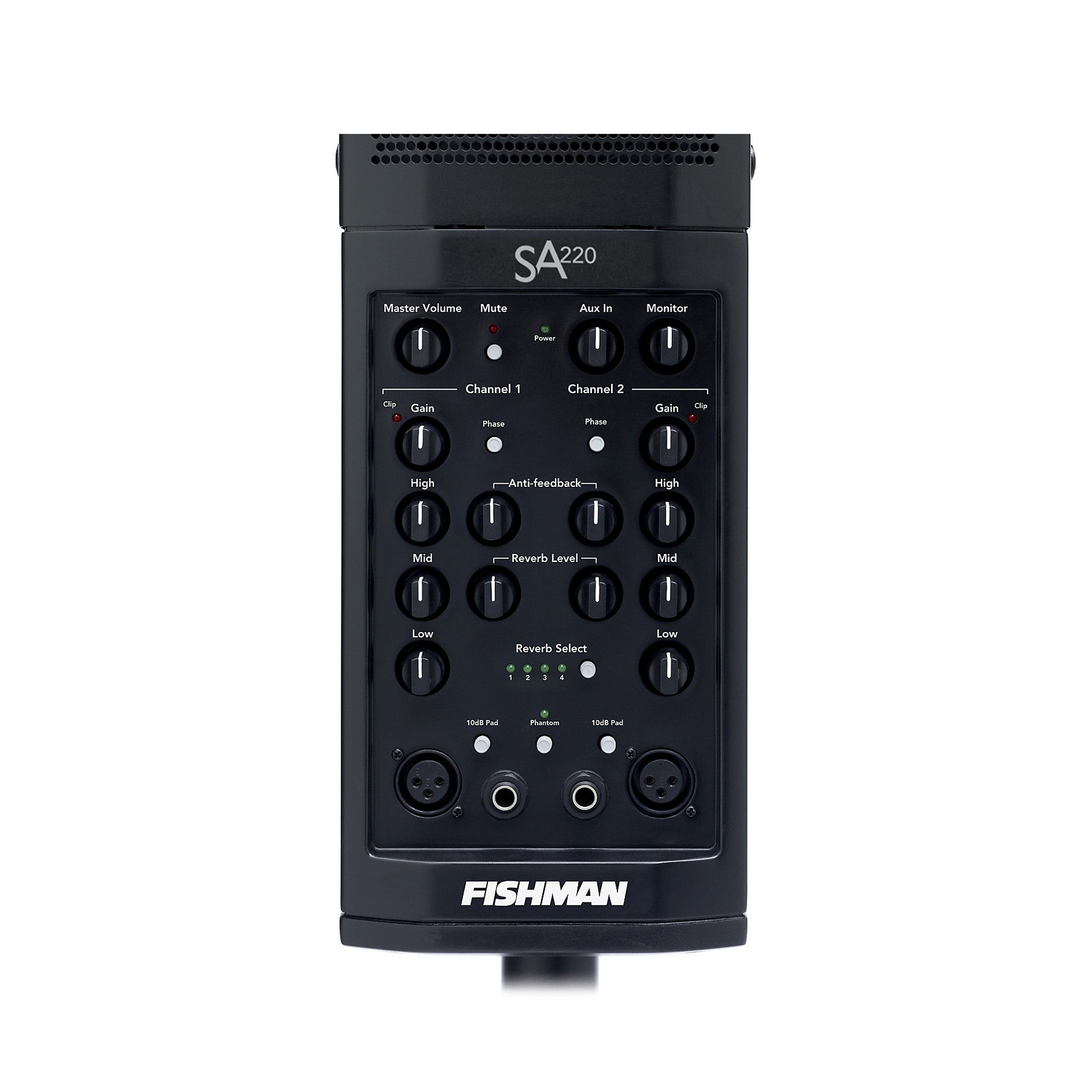 Fishman SA220 Solo Performance System