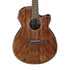Ibanez AEG61 - Natural Mahogany High Gloss (AEG61-NMH) | Zoso Music Sdn Bhd