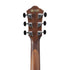Ibanez AEG61 Acoustic Guitar - Natural Mahogany High Gloss (AEG61-NMH) |  IBANEZ |  ACOUSTIC GUITAR |  Zoso Music
