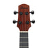 Ibanez AUC14 Concert Ukulele - Open Pore Violin Sunburst |  IBANEZ |  UKULELE |  Zoso Music