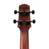 Ibanez AUC14 Concert Ukulele - Open Pore Violin Sunburst |  IBANEZ |  UKULELE |  Zoso Music