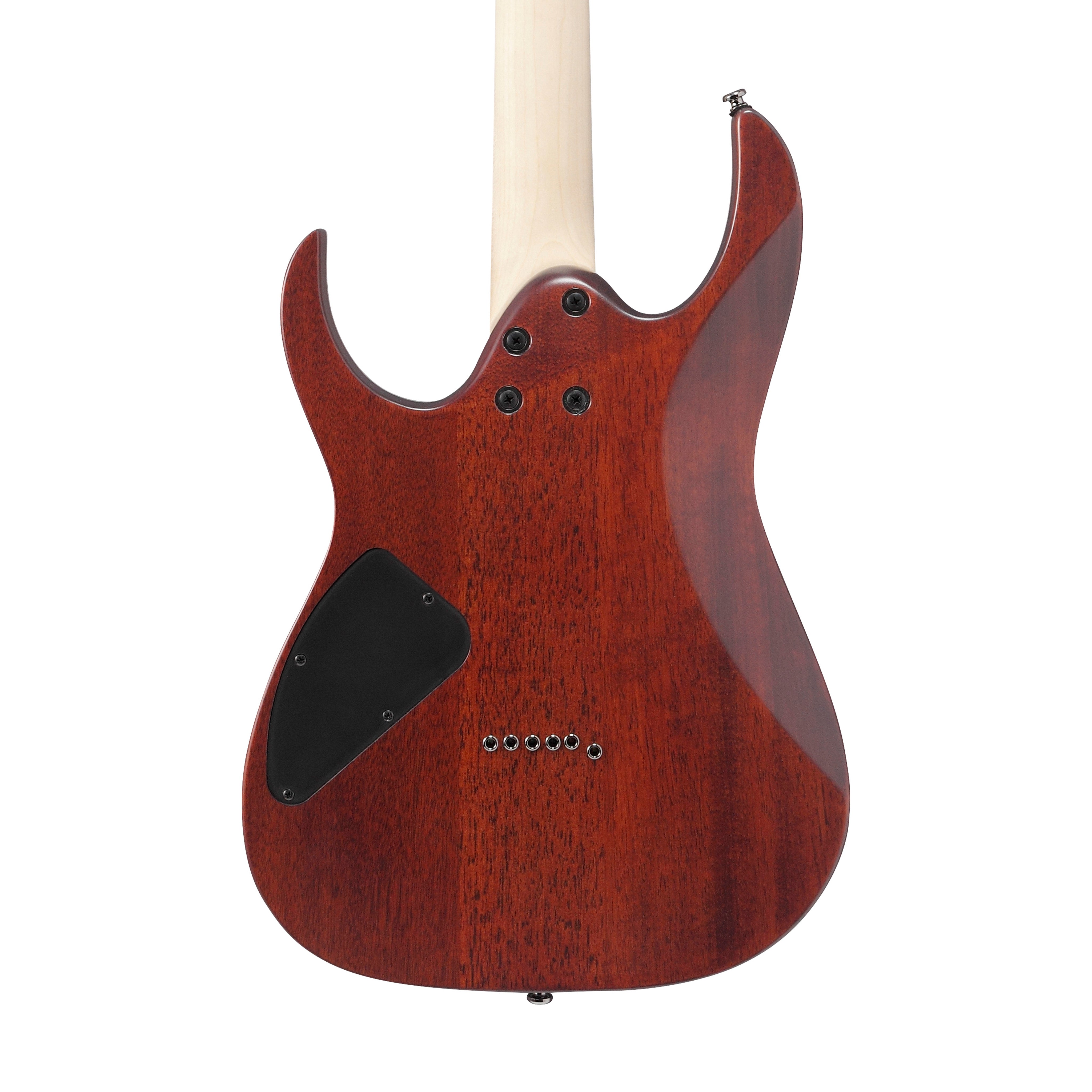 Ibanez RG421S-SEM Electric Guitar, Sea Shore Matte |  IBANEZ |  ELECTRIC GUITAR |  Zoso Music
