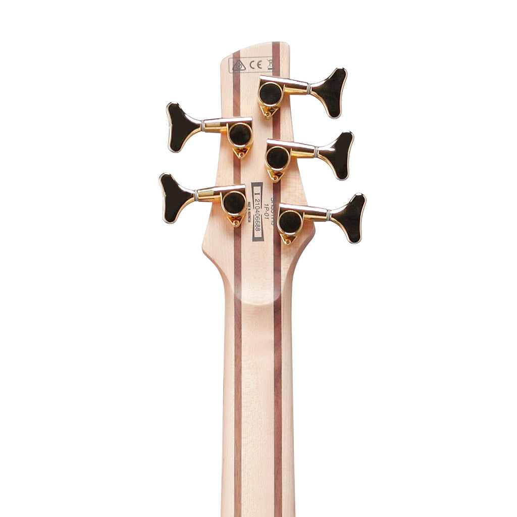 Ibanez SR305EDX 5-string Electric Bass - Rose Gold Chameleon |  IBANEZ |  BASS GUITAR |  Zoso Music