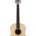 Lowden Original Series F-32 Indian Rosewood / Sitka Spruce Acoustic Guitar Zoso Music