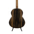 Lowden 35 Series F-35 Ebony / Sinker Redwood Acoustic Guitar w/Soundbox Bevel Zoso Music