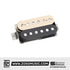 Seymour Duncan Slash 6-String Signature Alnico II 4C Shielded Humbucker Set, Zebra