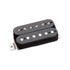 Seymour Duncan Alnico II Pro 6-String Humbucker Set, Black