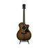 Taylor 124ce Special Edition Grand Auditorium Acoustic Guitar w/Bag, Shaded Edge Burst Top |  TAYLOR |  ACOUSTIC GUITAR |  Zoso Music
