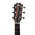 Taylor 210ce Plus Rosewood/Spruce Dreadnought Acoustic Guitar w/Aerocase, Natural |  TAYLOR |  ACOUSTIC GUITAR |  Zoso Music