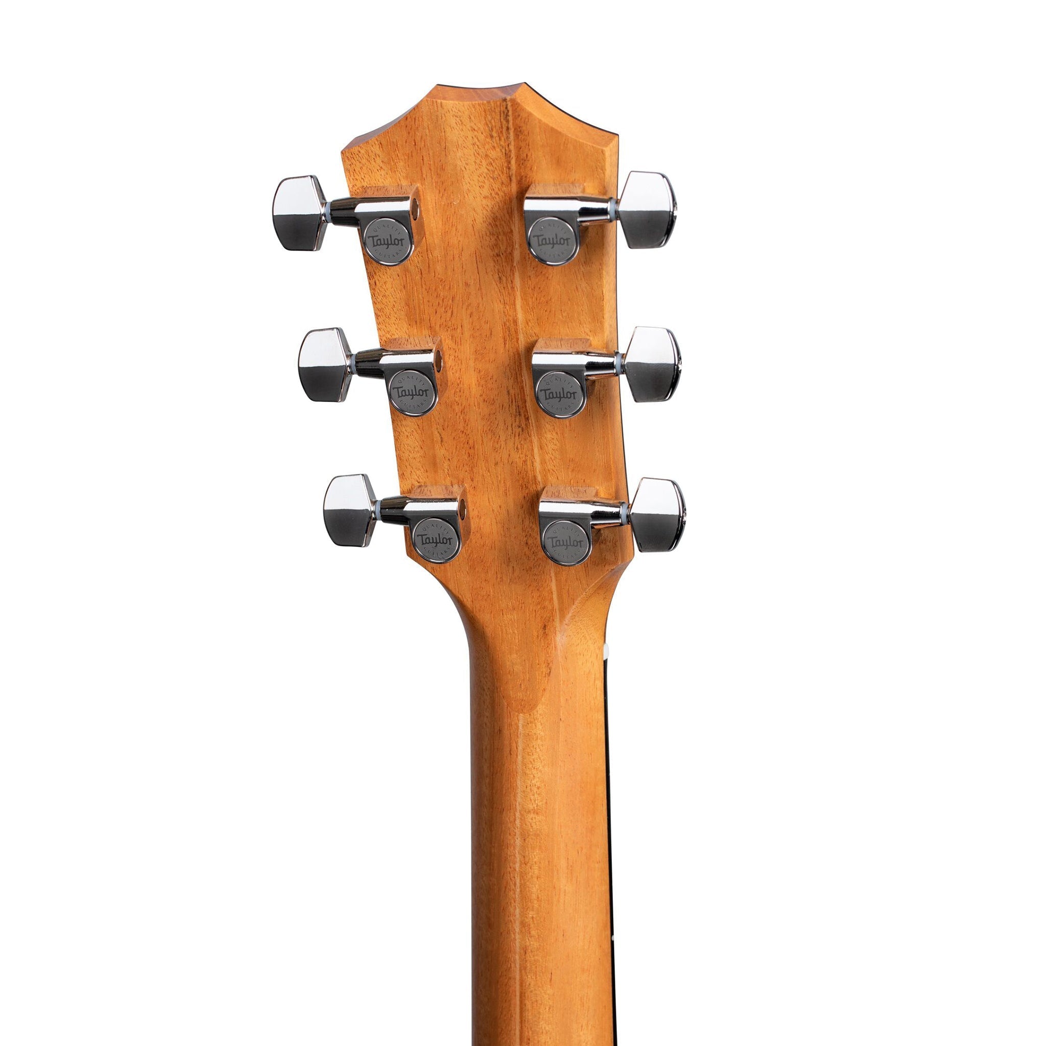Taylor 210ce Plus Rosewood/Spruce Dreadnought Acoustic Guitar w/Aerocase, Natural |  TAYLOR |  ACOUSTIC GUITAR |  Zoso Music