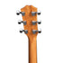 Taylor 210ce Plus Rosewood/Spruce Dreadnought Acoustic Guitar w/Aerocase, Natural |  TAYLOR |  ACOUSTIC GUITAR |  Zoso Music