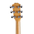Taylor 212ce Grand Concert Spruce/Rosewood Acoustic Guitar w/Case |  TAYLOR |  ACOUSTIC GUITAR |  Zoso Music