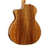 Taylor 214ce Deluxe Grand Auditorium Acoustic Guitar, Gold Hardware, w/Case |  TAYLOR |  ACOUSTIC GUITAR |  Zoso Music
