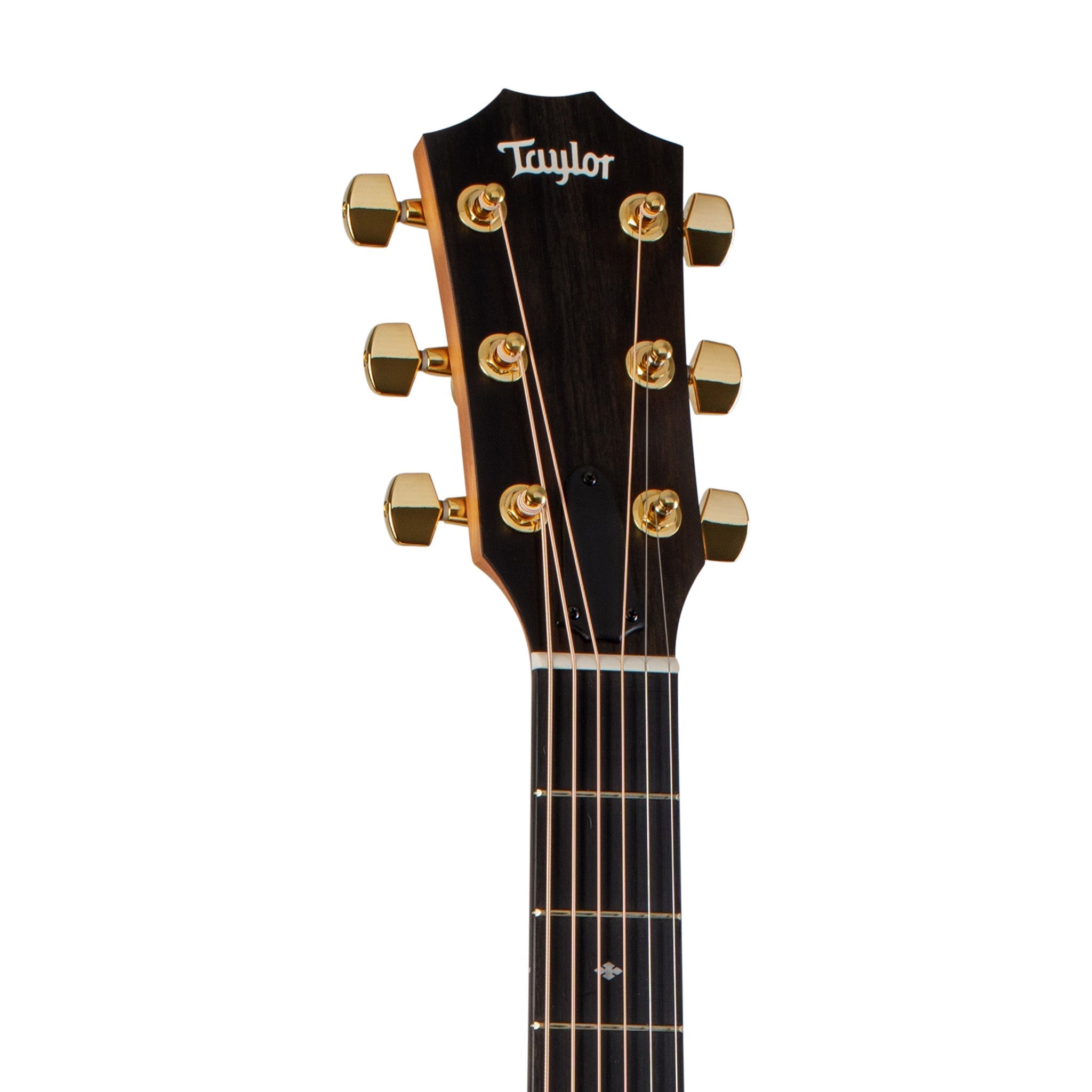 Taylor 214ce Deluxe Grand Auditorium Acoustic Guitar, Gold Hardware, w/Case |  TAYLOR |  ACOUSTIC GUITAR |  Zoso Music