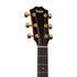 Taylor 214ce Deluxe Grand Auditorium Acoustic Guitar, Gold Hardware, w/Case |  TAYLOR |  ACOUSTIC GUITAR |  Zoso Music