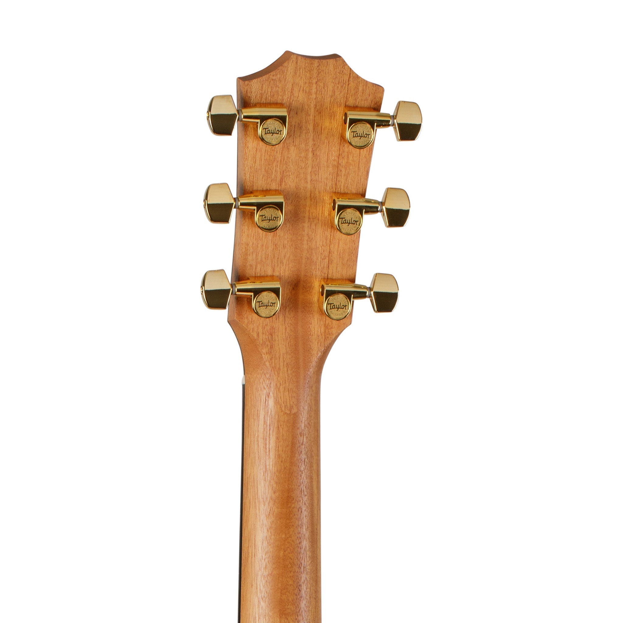 Taylor 214ce Deluxe Grand Auditorium Acoustic Guitar, Gold Hardware, w/Case |  TAYLOR |  ACOUSTIC GUITAR |  Zoso Music