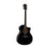 Taylor 214ce Deluxe Grand Auditorium Acoustic Guitar, Trans Grey Top |  TAYLOR |  ACOUSTIC GUITAR |  Zoso Music