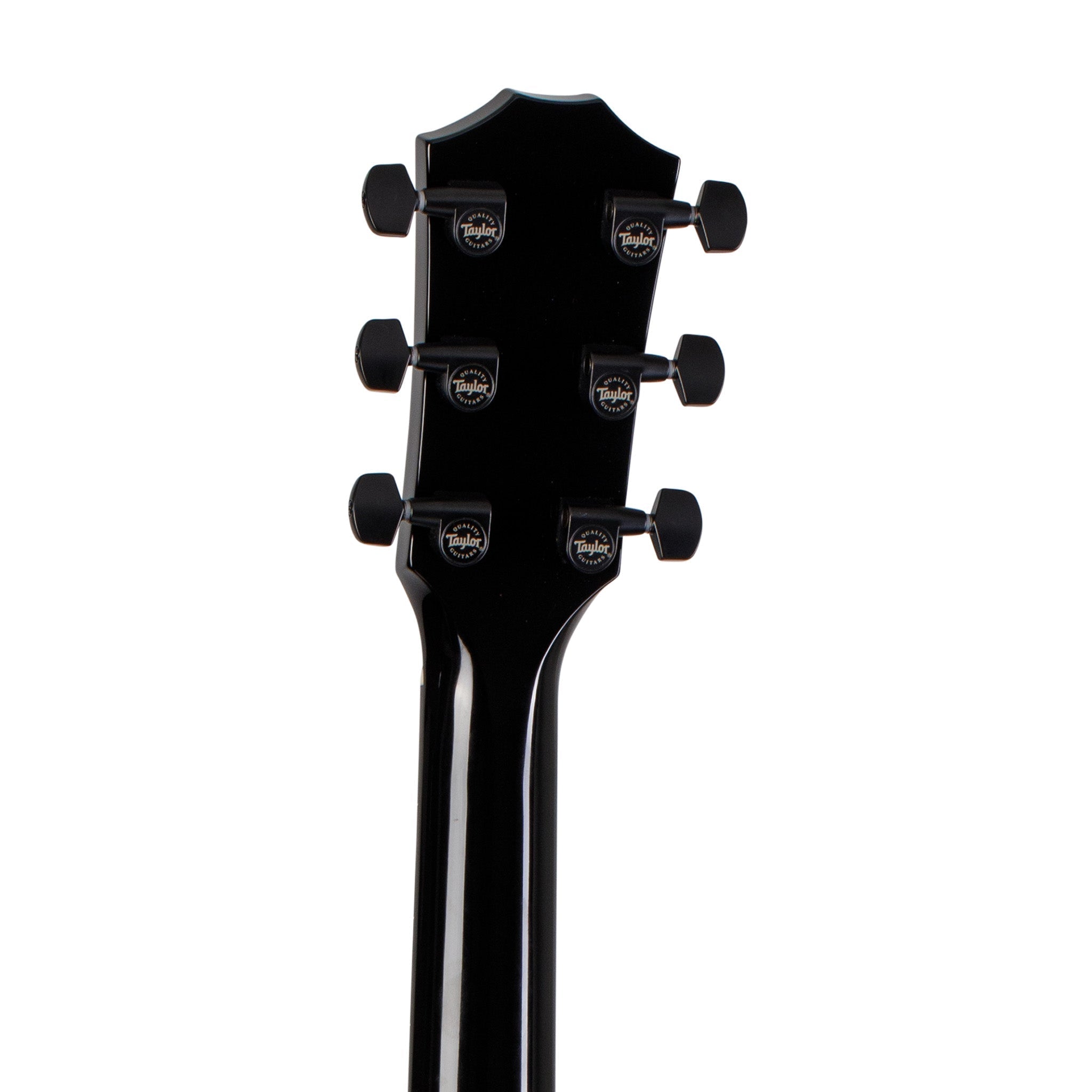 Taylor 214ce Deluxe Grand Auditorium Acoustic Guitar, Trans Grey Top |  TAYLOR |  ACOUSTIC GUITAR |  Zoso Music