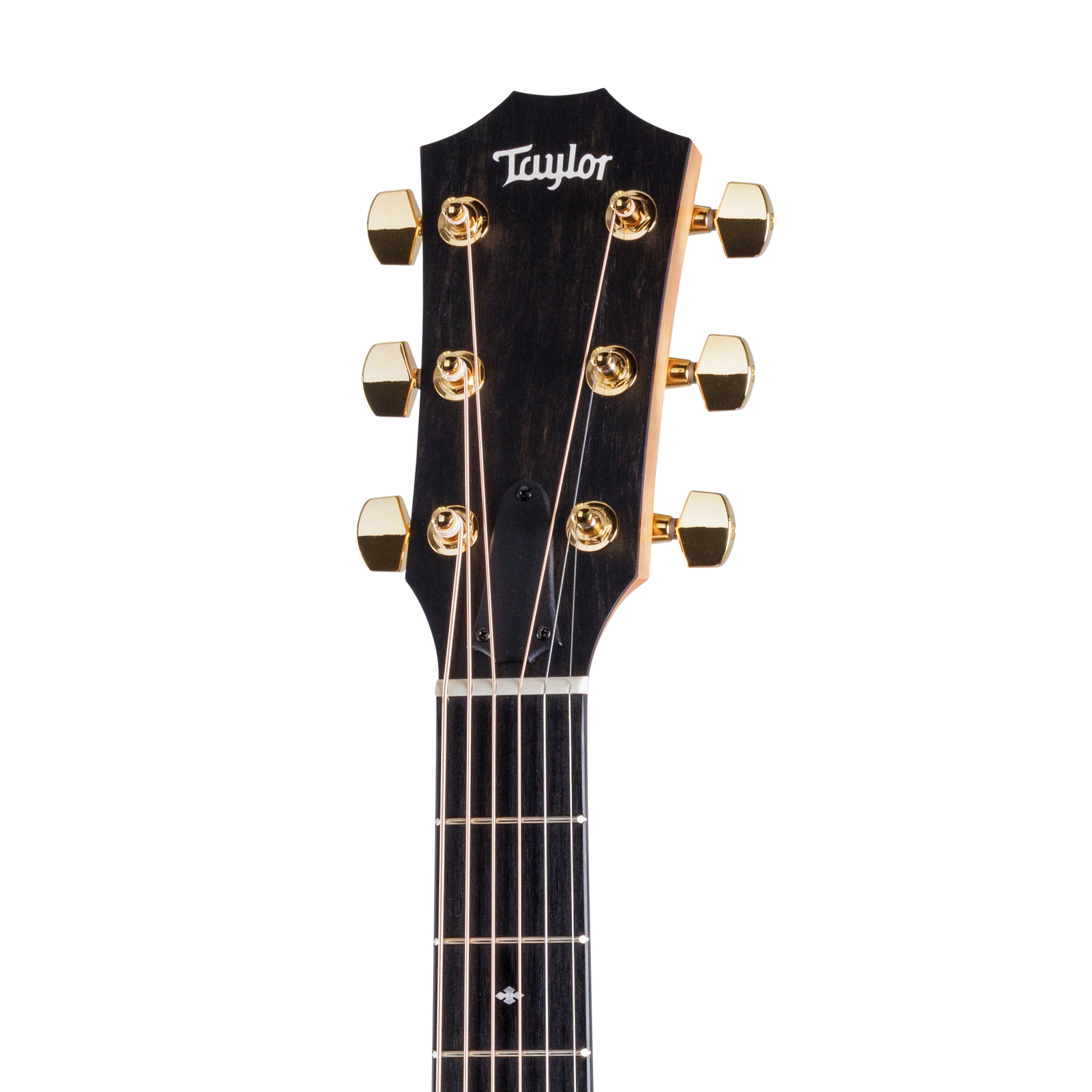 Taylor 222ce-K DLX Grand Concert Acoustic Guitar w/Case |  TAYLOR |  ACOUSTIC GUITAR |  Zoso Music
