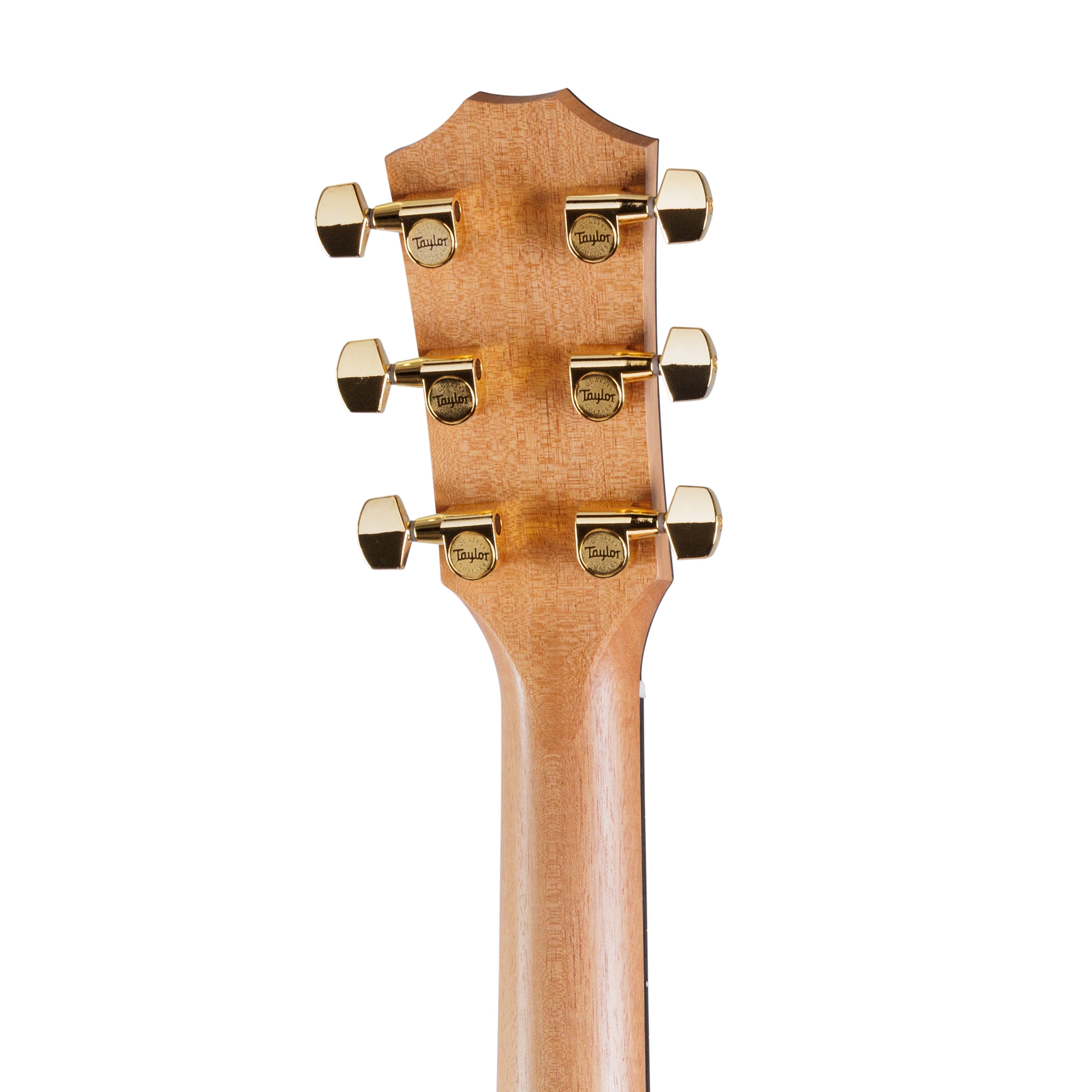Taylor 222ce-K DLX Grand Concert Acoustic Guitar w/Case |  TAYLOR |  ACOUSTIC GUITAR |  Zoso Music