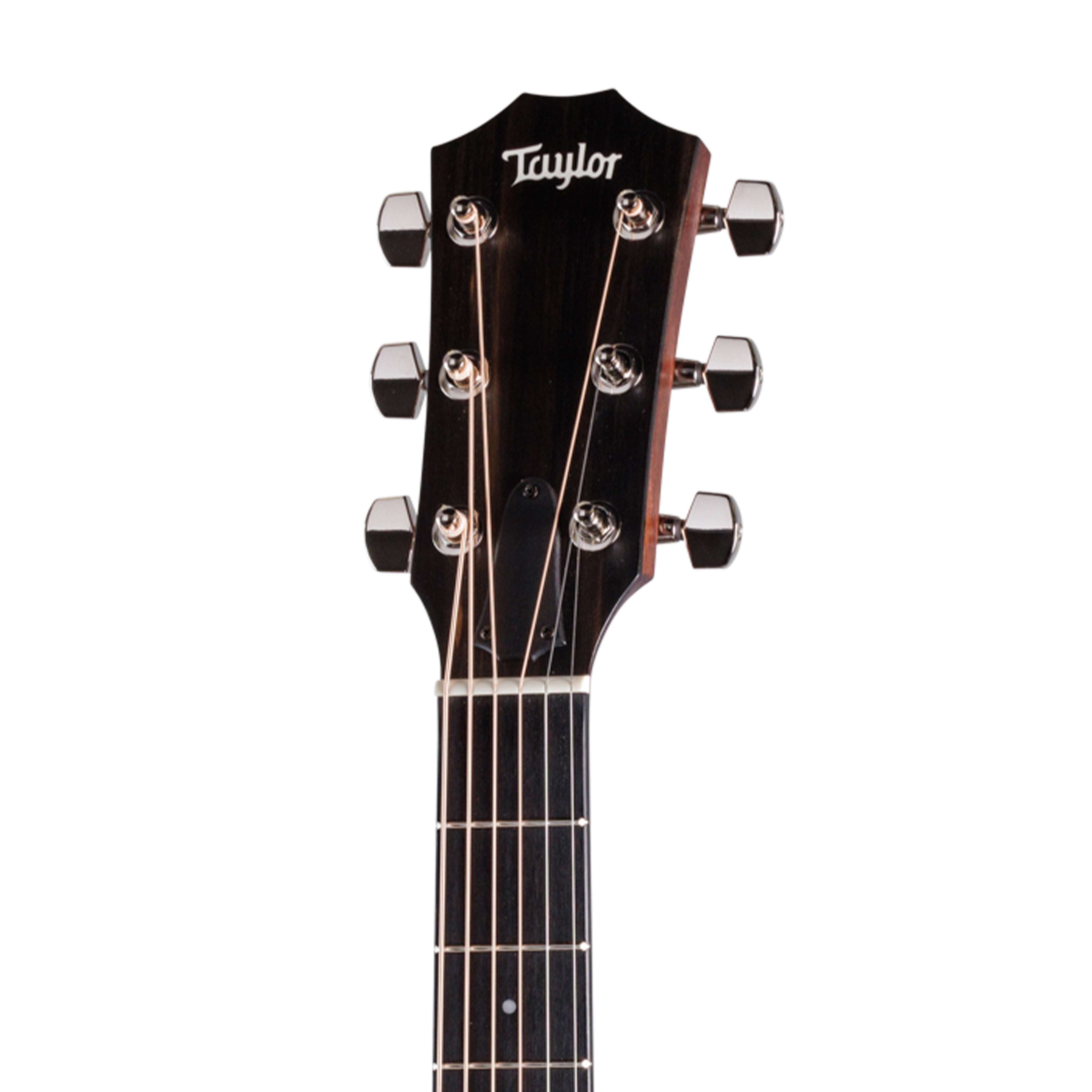 Taylor 224ce Special Edition Mahogany/Sapele Acoustic Guitar w/Bag, Blackwood Stain |  TAYLOR |  ACOUSTIC GUITAR |  Zoso Music