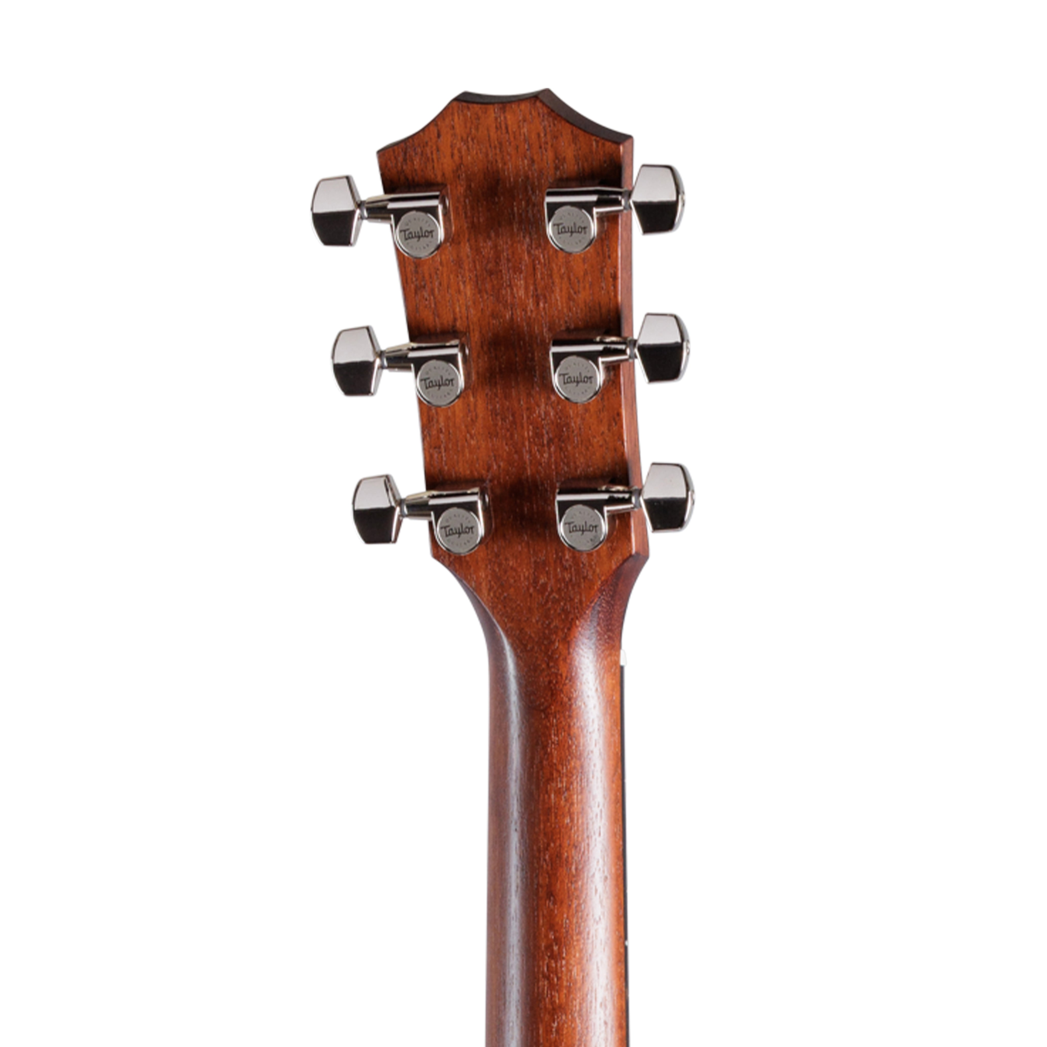 Taylor 224ce Special Edition Mahogany/Sapele Acoustic Guitar w/Bag, Blackwood Stain |  TAYLOR |  ACOUSTIC GUITAR |  Zoso Music