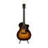 Taylor 224ce-UA DLX LTD Layered Urban Ash/Urban Ash Acoustic Guitar w/Case, Tobacco Sunburst |  TAYLOR |  ACOUSTIC GUITAR |  Zoso Music
