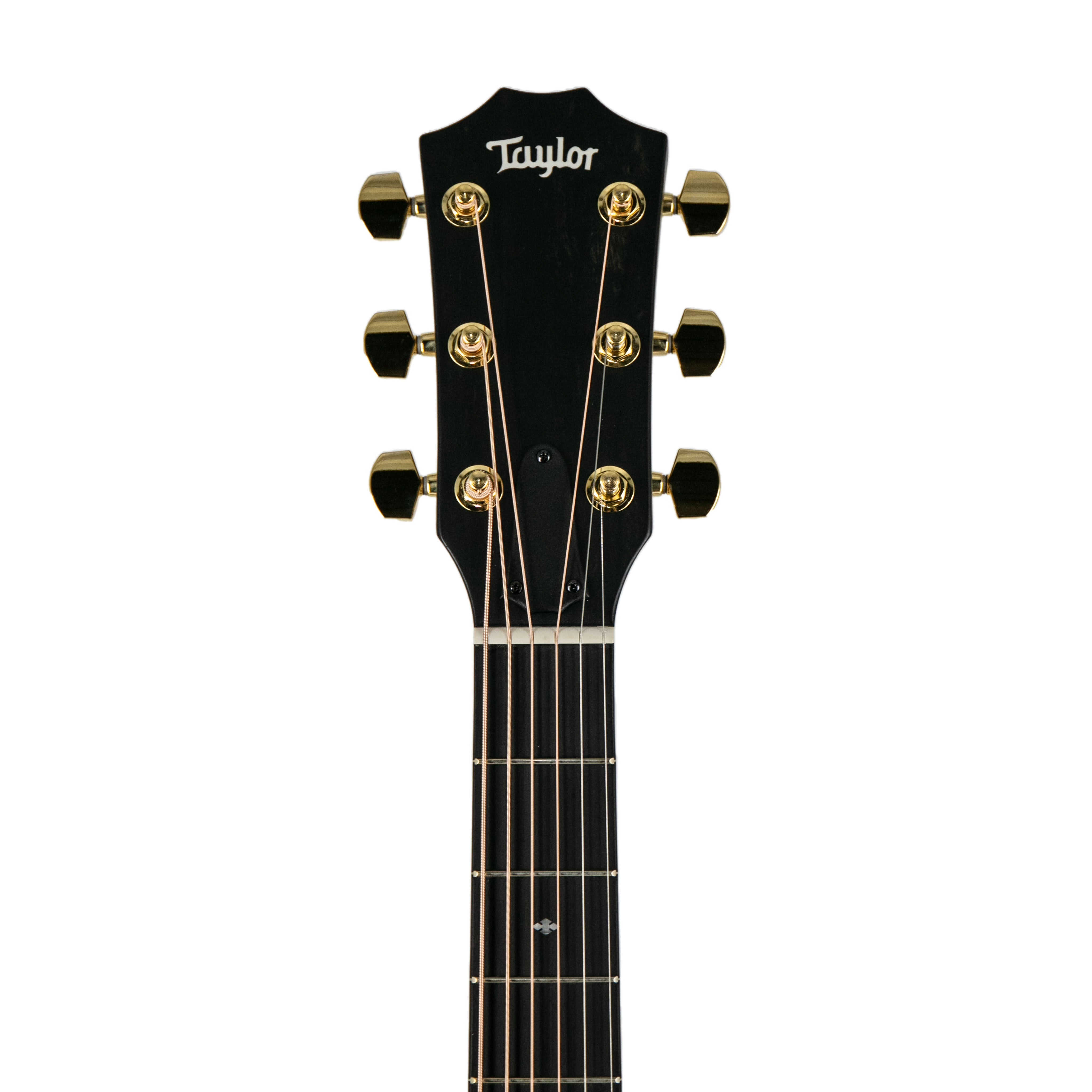 Taylor 224ce-UA DLX LTD Layered Urban Ash/Urban Ash Acoustic Guitar w/Case, Tobacco Sunburst |  TAYLOR |  ACOUSTIC GUITAR |  Zoso Music