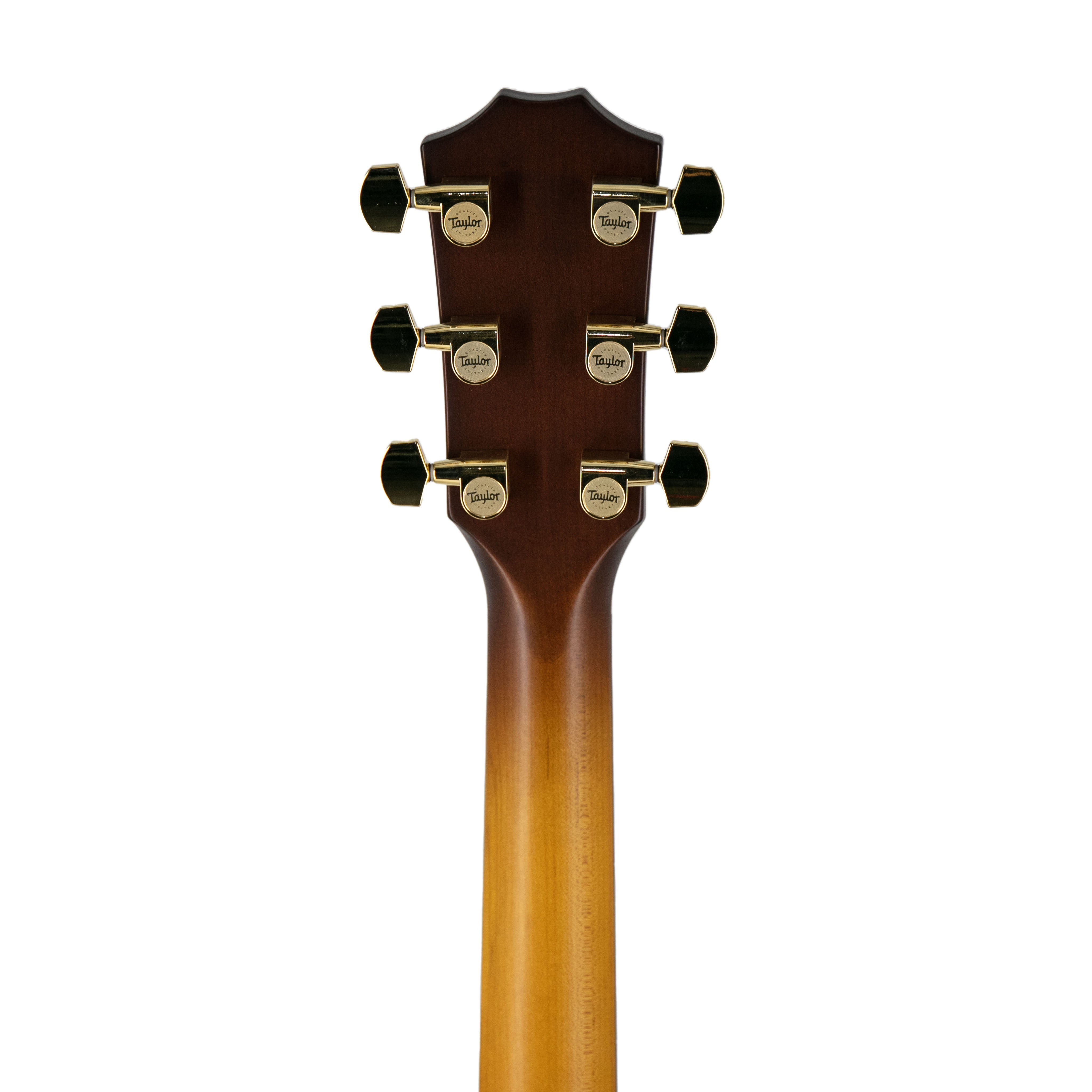 Taylor 224ce-UA DLX LTD Layered Urban Ash/Urban Ash Acoustic Guitar w/Case, Tobacco Sunburst |  TAYLOR |  ACOUSTIC GUITAR |  Zoso Music