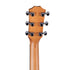 Taylor 24ce Sapele/Mahogany Grand Auditorium Acoustic-Electric Guitar |  TAYLOR |  ACOUSTIC GUITAR |  Zoso Music