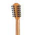 Taylor 254ce Grand Auditorium 12-String Acoustic Guitar w/Bag |  TAYLOR |  ACOUSTIC GUITAR |  Zoso Music