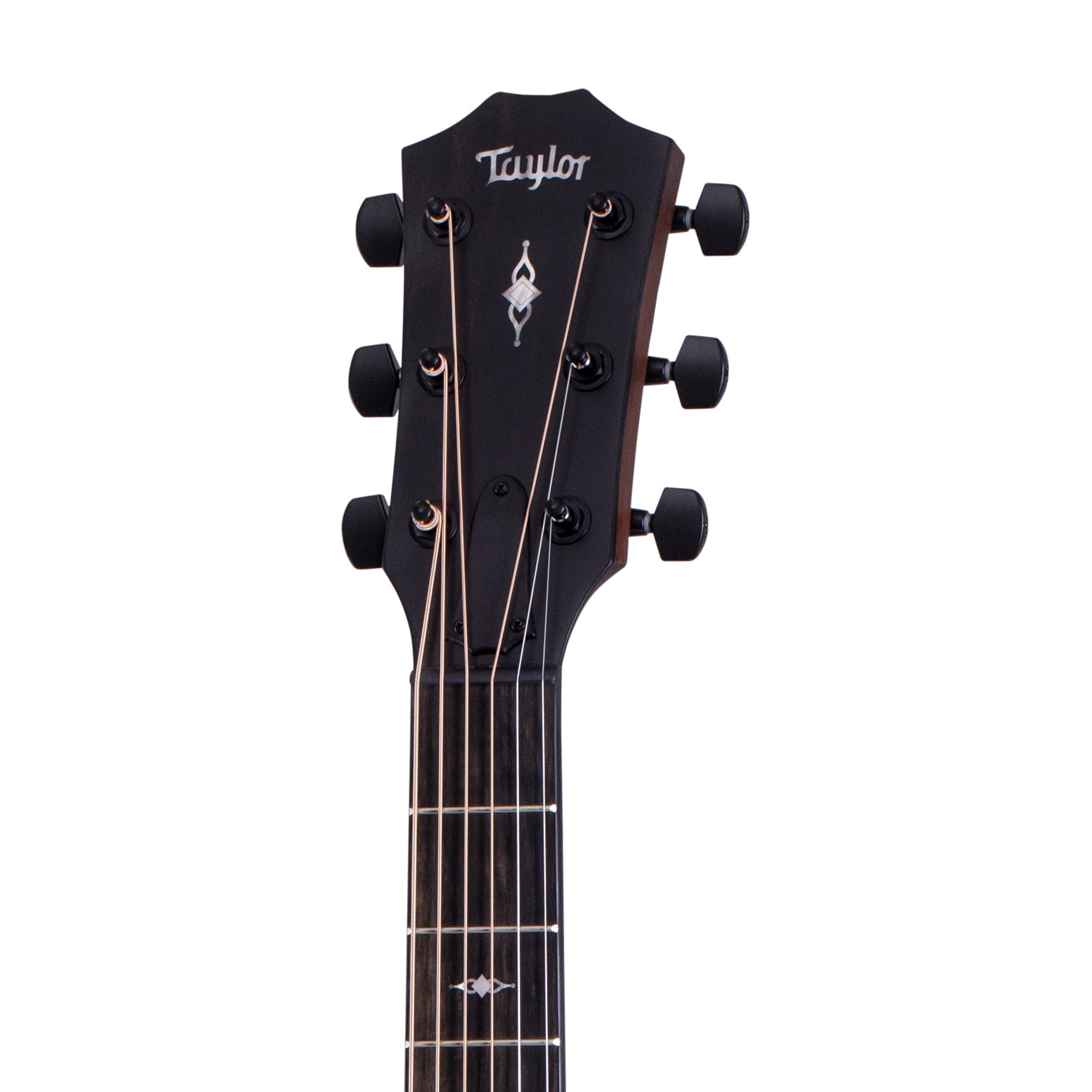 Taylor Special Edition 314ce Sapele/Spruce Acoustic-Electric Guitar, Vintage Sunburst Top |  TAYLOR |  ACOUSTIC GUITAR |  Zoso Music