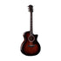 Taylor 324ce Sapele/Mahogany Grand Auditorium Acoustic Guitar |  TAYLOR |  ACOUSTIC GUITAR |  Zoso Music