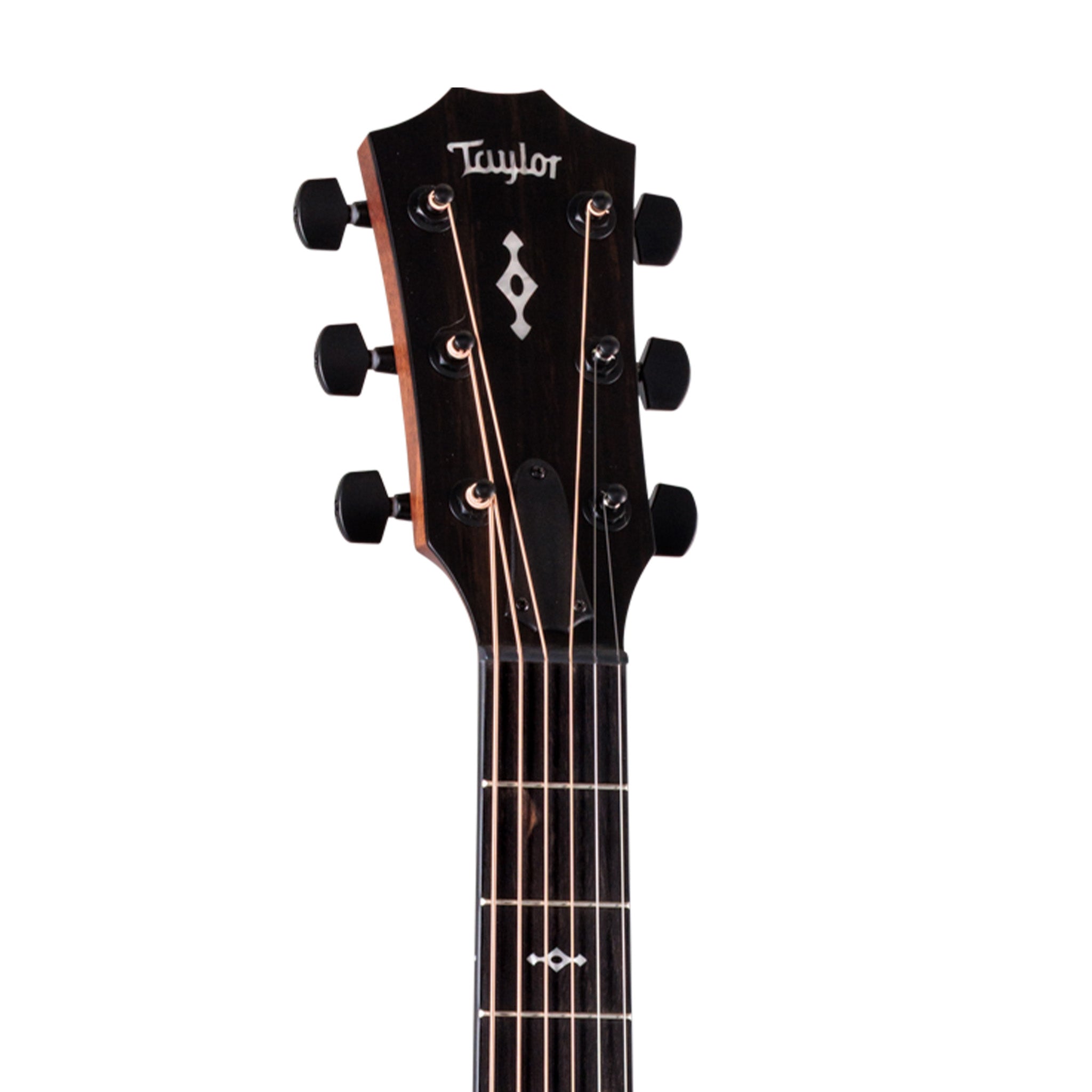 Taylor 324ce Sapele/Mahogany Grand Auditorium Acoustic Guitar |  TAYLOR |  ACOUSTIC GUITAR |  Zoso Music