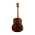 Taylor 417e-R Grand Acoustic Guitar, Tobacco Sunburst Top |  TAYLOR |  ACOUSTIC GUITAR |  Zoso Music