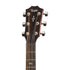 Taylor 417e-R Grand Acoustic Guitar, Tobacco Sunburst Top |  TAYLOR |  ACOUSTIC GUITAR |  Zoso Music