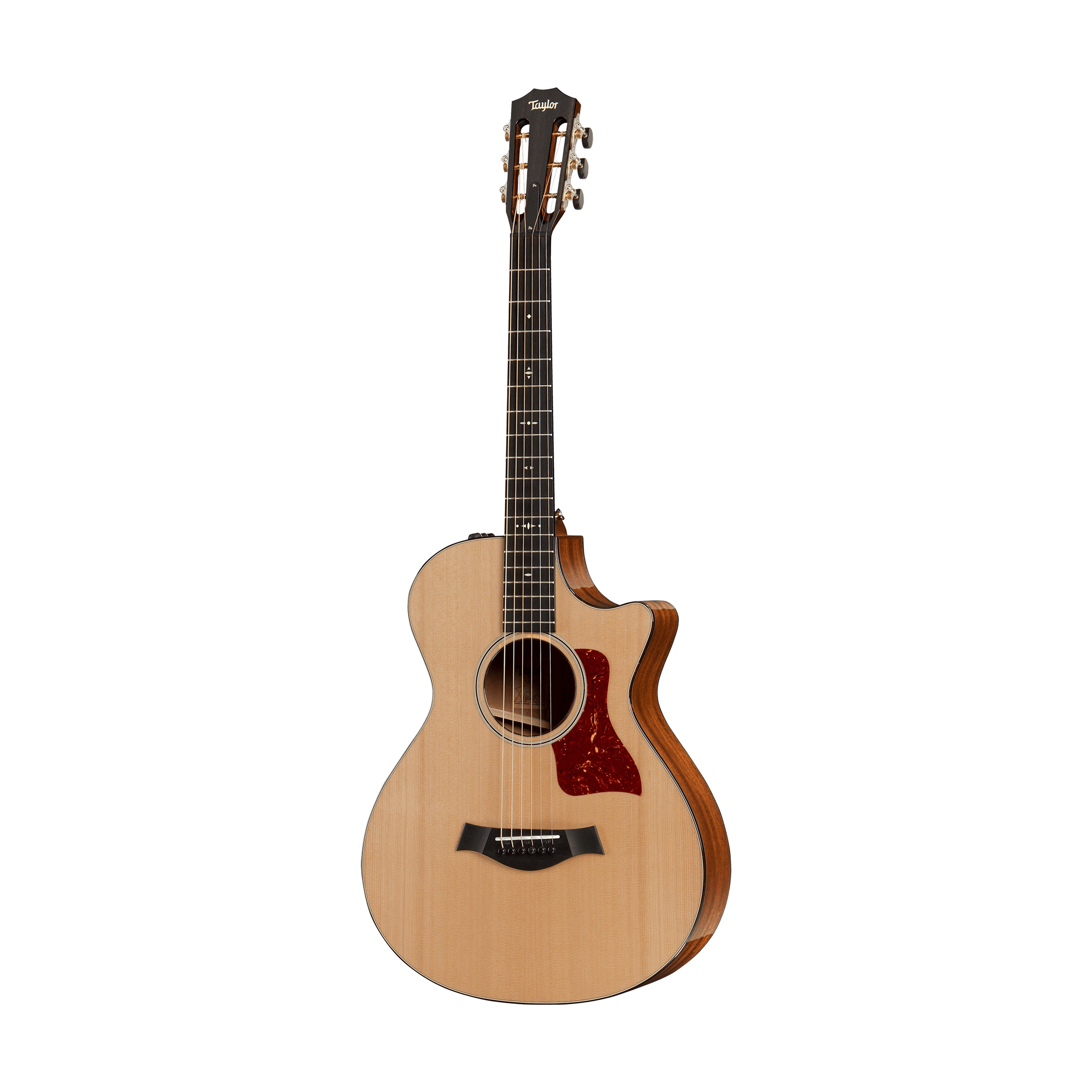 Taylor 512ce 12-Fret Urban Ironbark Grand Concert Acoustic Guitar w/Case, Torrefied Sitka |  TAYLOR |  ACOUSTIC GUITAR |  Zoso Music