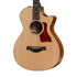 Taylor 512ce 12-Fret Urban Ironbark Grand Concert Acoustic Guitar w/Case, Torrefied Sitka |  TAYLOR |  ACOUSTIC GUITAR |  Zoso Music