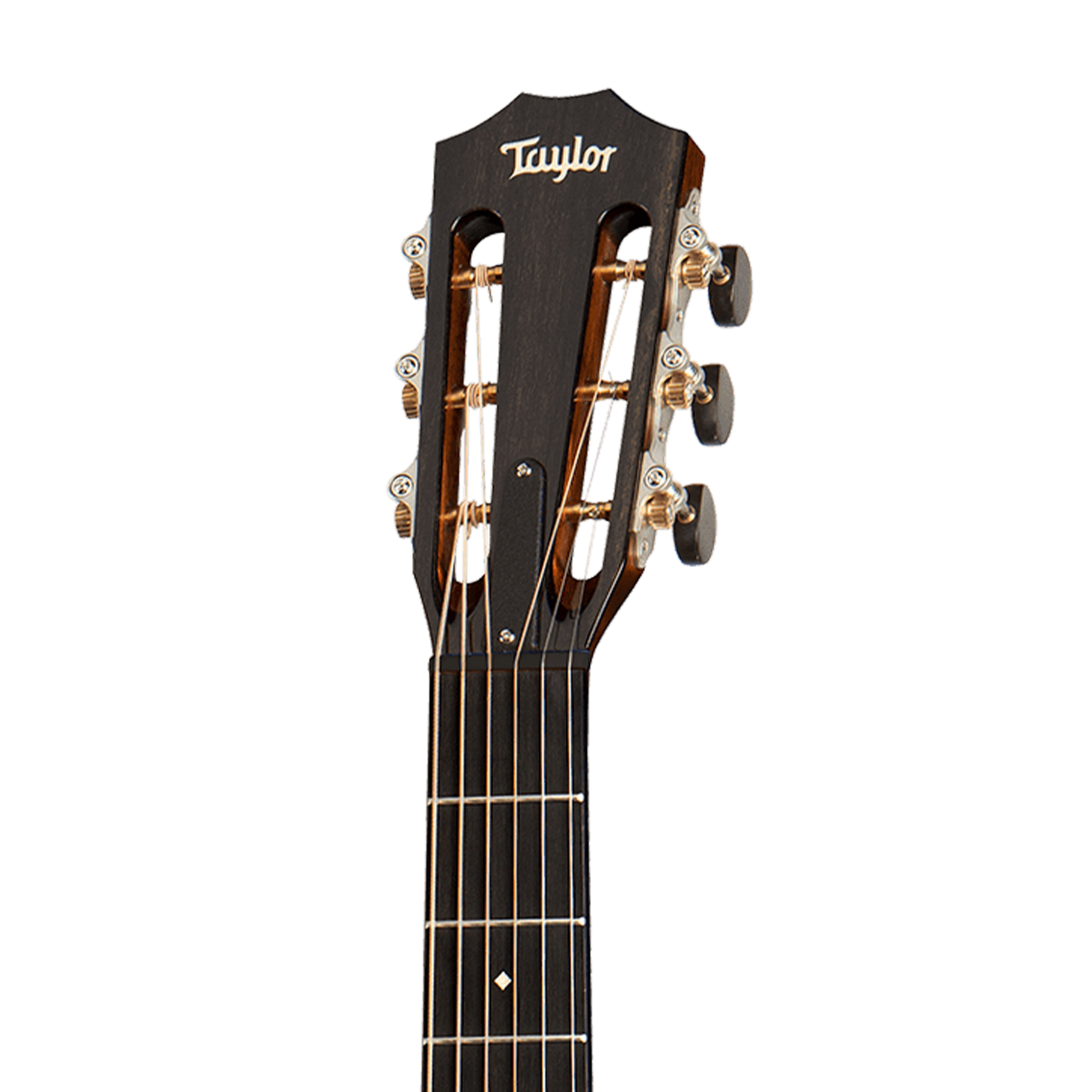Taylor 512ce 12-Fret Urban Ironbark Grand Concert Acoustic Guitar w/Case, Torrefied Sitka |  TAYLOR |  ACOUSTIC GUITAR |  Zoso Music