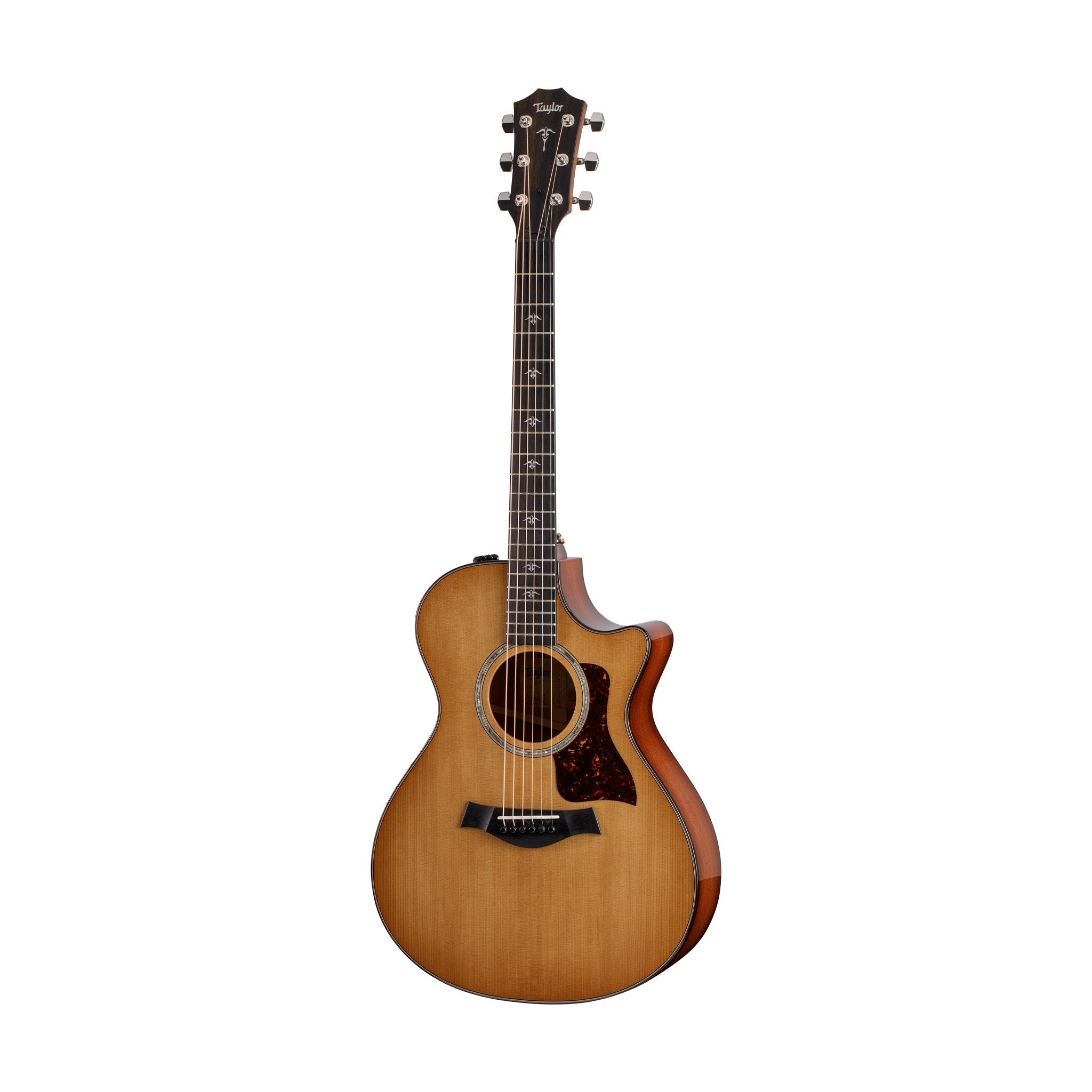 Taylor 512ce Urban Ironbark V-Class Grand Concert Acoustic Guitar w/Case |  TAYLOR |  ACOUSTIC GUITAR |  Zoso Music
