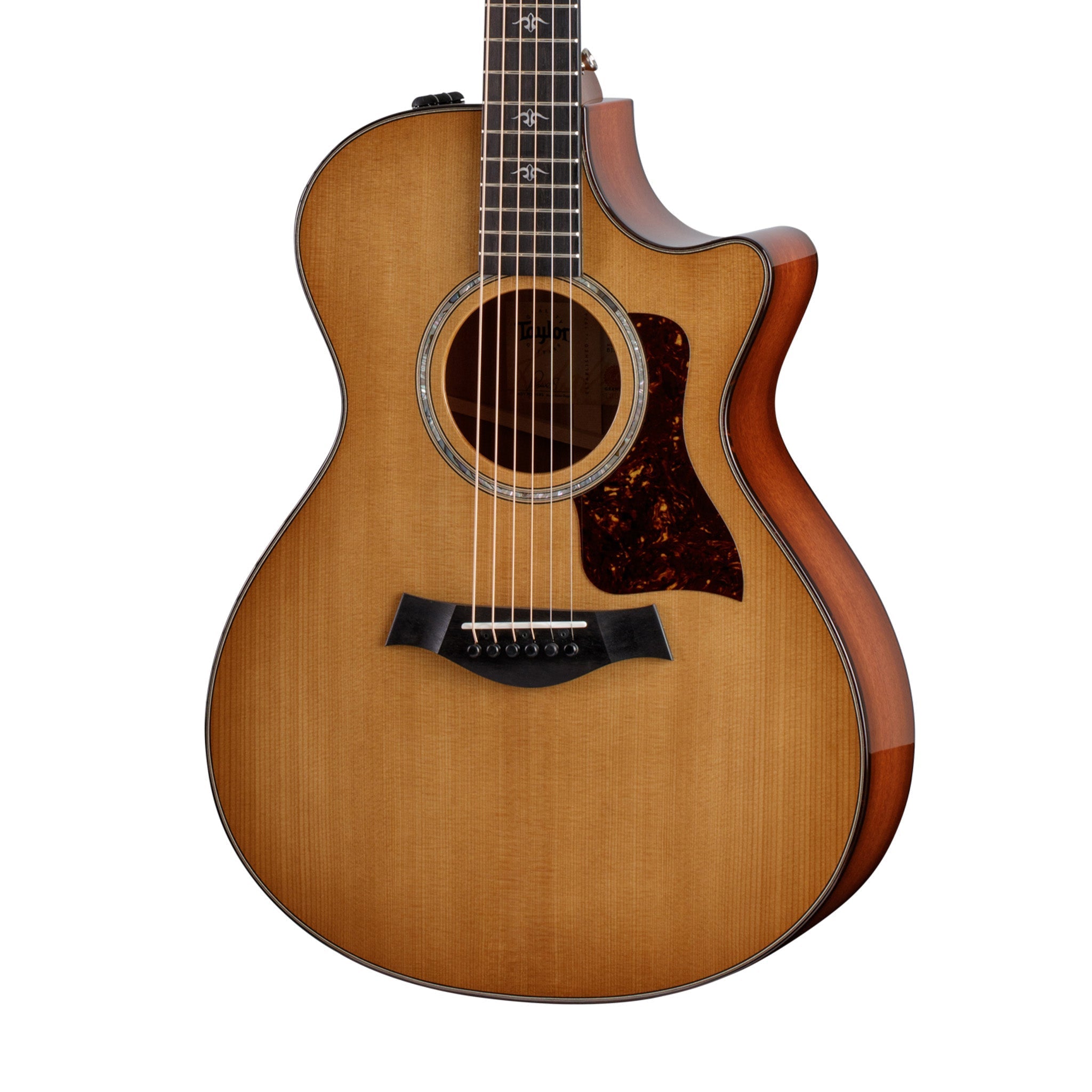Taylor 512ce Urban Ironbark V-Class Grand Concert Acoustic Guitar w/Case |  TAYLOR |  ACOUSTIC GUITAR |  Zoso Music