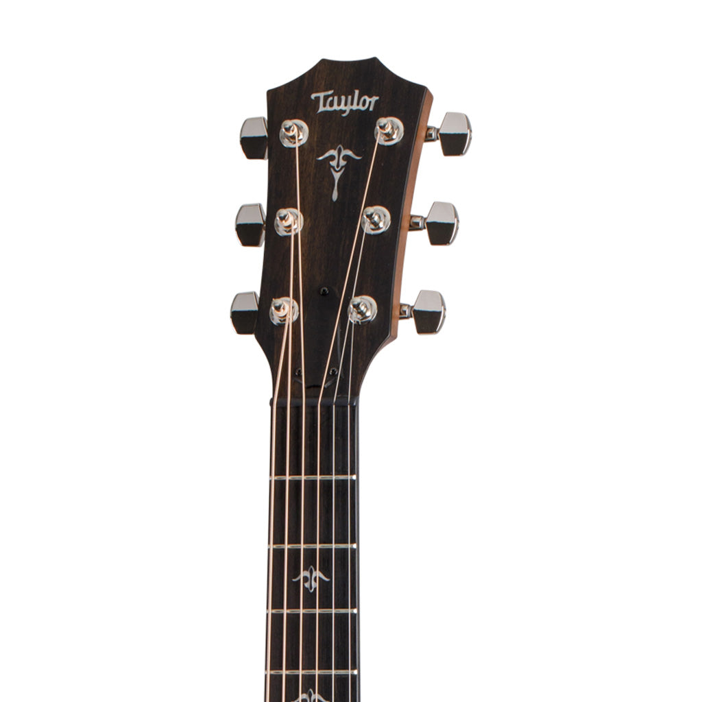 Taylor 512ce Urban Ironbark V-Class Grand Concert Acoustic Guitar w/Case |  TAYLOR |  ACOUSTIC GUITAR |  Zoso Music