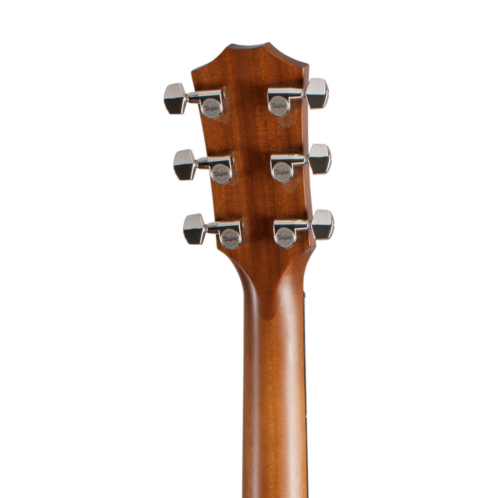 Taylor 512ce Urban Ironbark V-Class Grand Concert Acoustic Guitar w/Case |  TAYLOR |  ACOUSTIC GUITAR |  Zoso Music