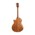 Taylor 514ce-LTD V-Class Blackwood/Cedar Grand Auditorium Acoustic Guitar w/Case |  TAYLOR |  ACOUSTIC GUITAR |  Zoso Music