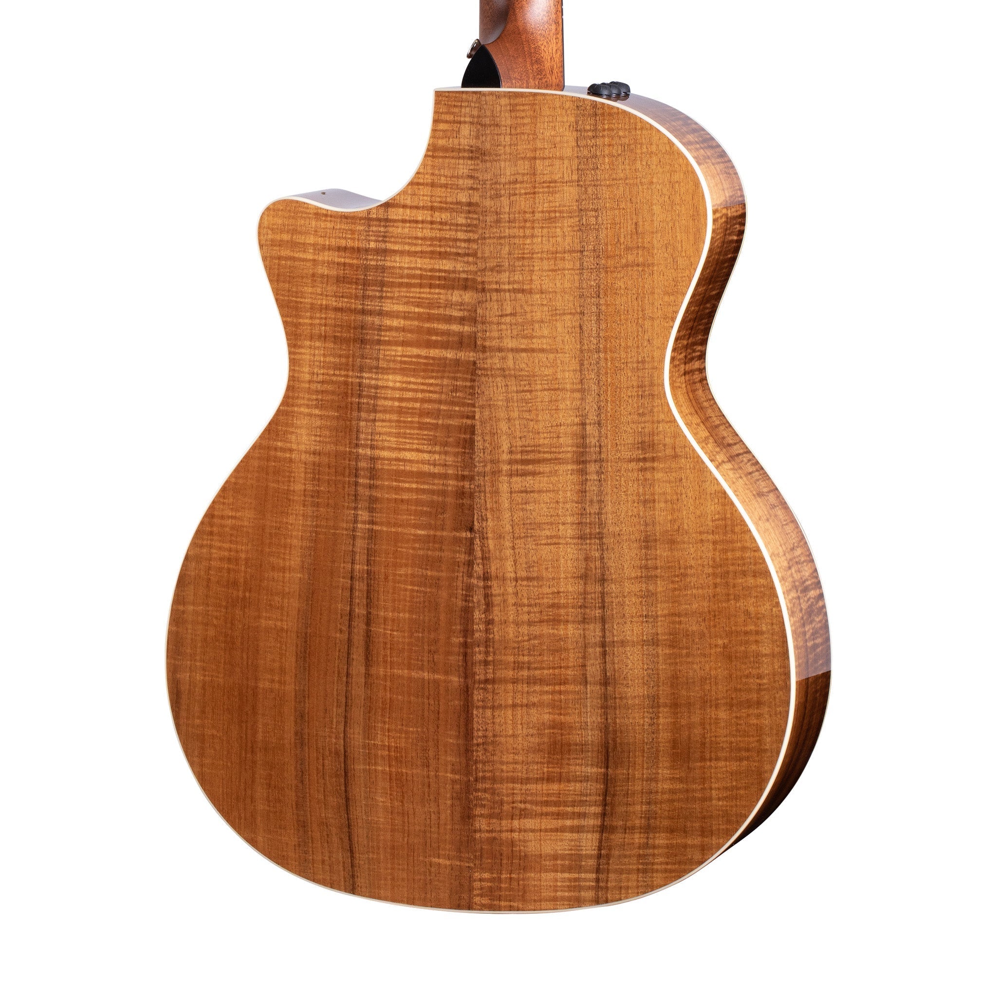 Taylor 514ce-LTD V-Class Blackwood/Cedar Grand Auditorium Acoustic Guitar w/Case |  TAYLOR |  ACOUSTIC GUITAR |  Zoso Music