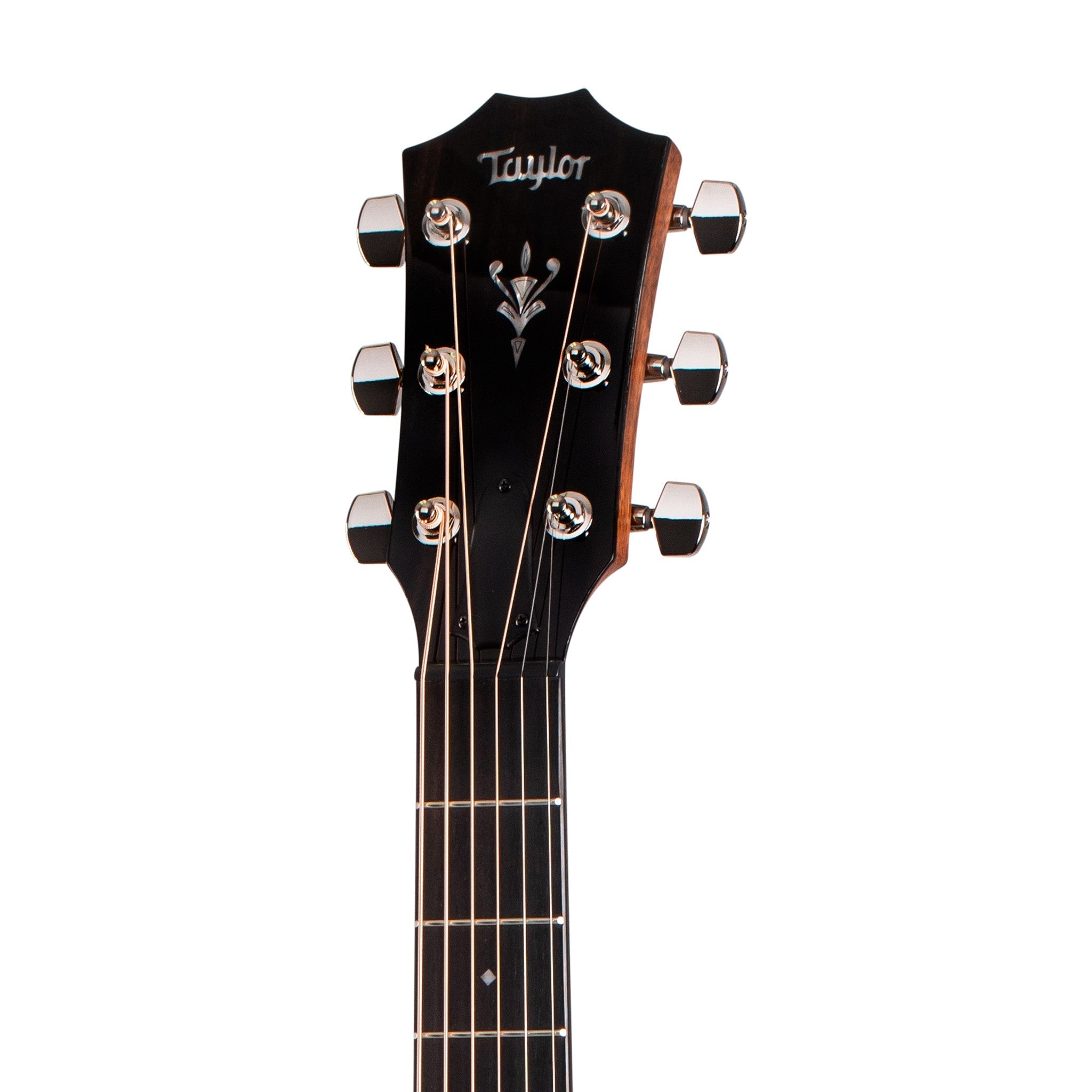 Taylor 514ce-LTD V-Class Blackwood/Cedar Grand Auditorium Acoustic Guitar w/Case |  TAYLOR |  ACOUSTIC GUITAR |  Zoso Music